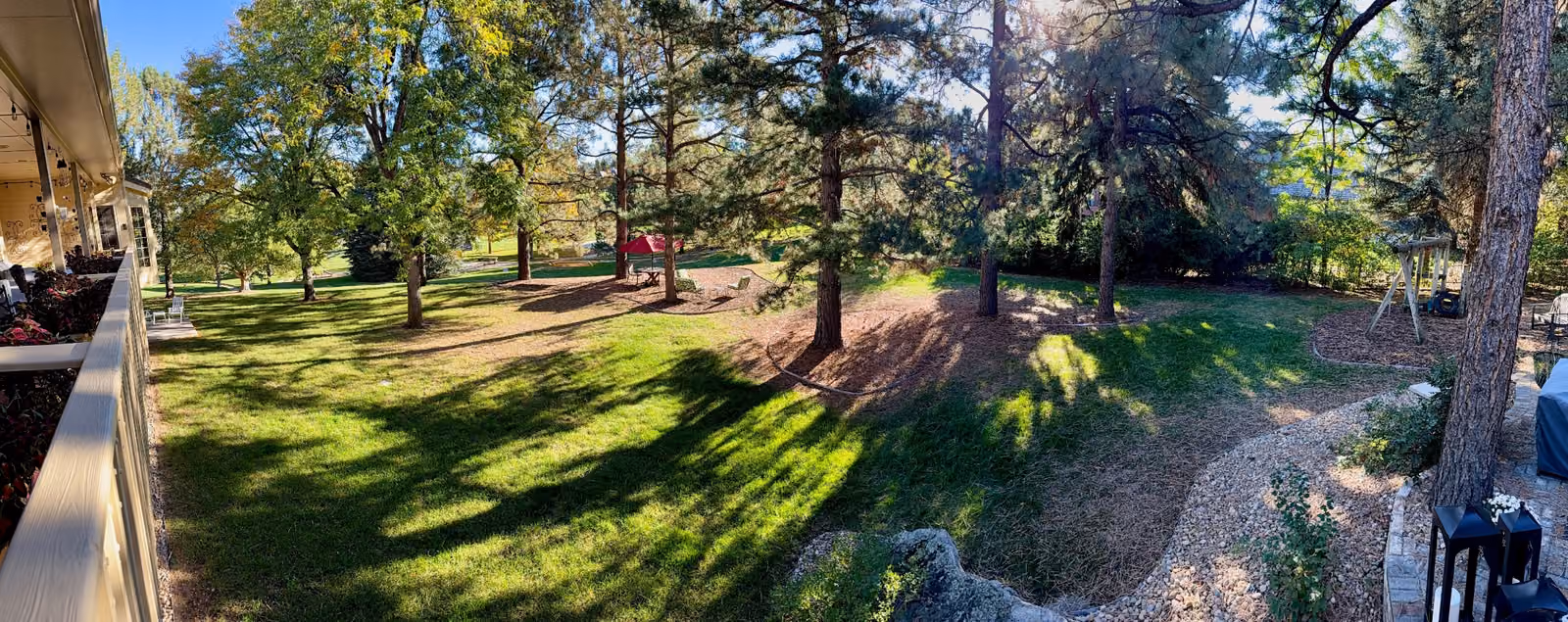Doug Tisdale’s backyard, with mature trees, sunlit lawn, a curved stone path, and a swing beneath the trees.